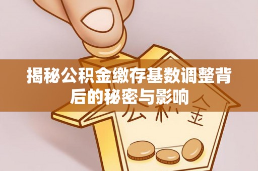 刚察揭秘公积金缴存基数调整背后的秘密与影响