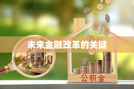 刚察未来金融改革的关键