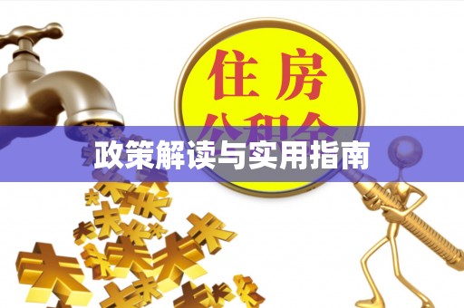 刚察政策解读与实用指南