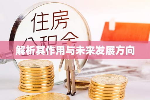 刚察解析其作用与未来发展方向