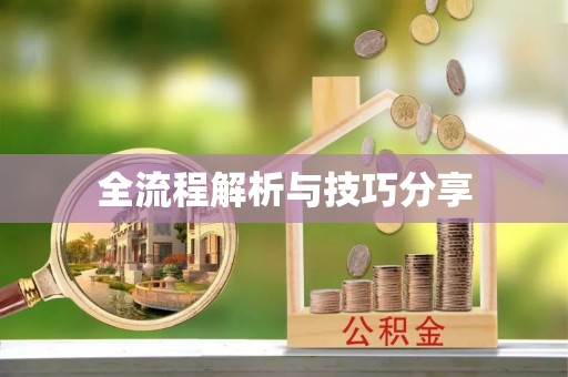 刚察全流程解析与技巧分享